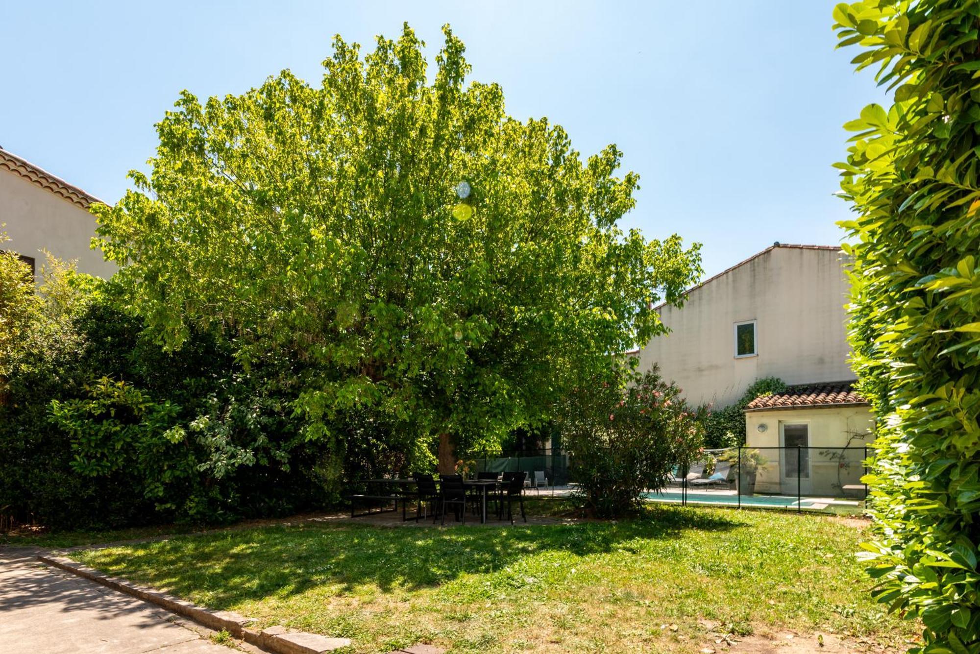 הוילה קרקסון La Casa Grande - Piscine - Wifi - Parking מראה חיצוני תמונה